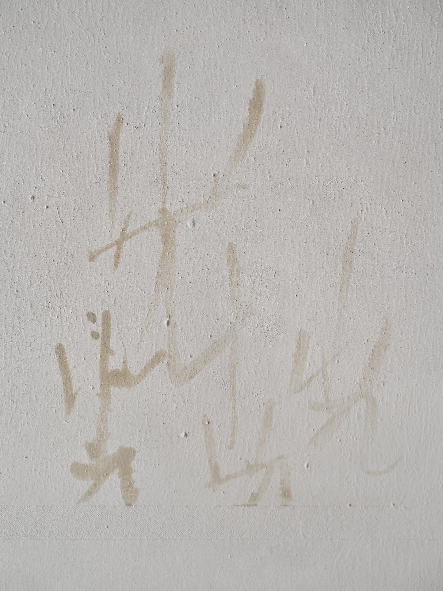 ハタノワタル｜和紙  掛け軸 書｜ 光