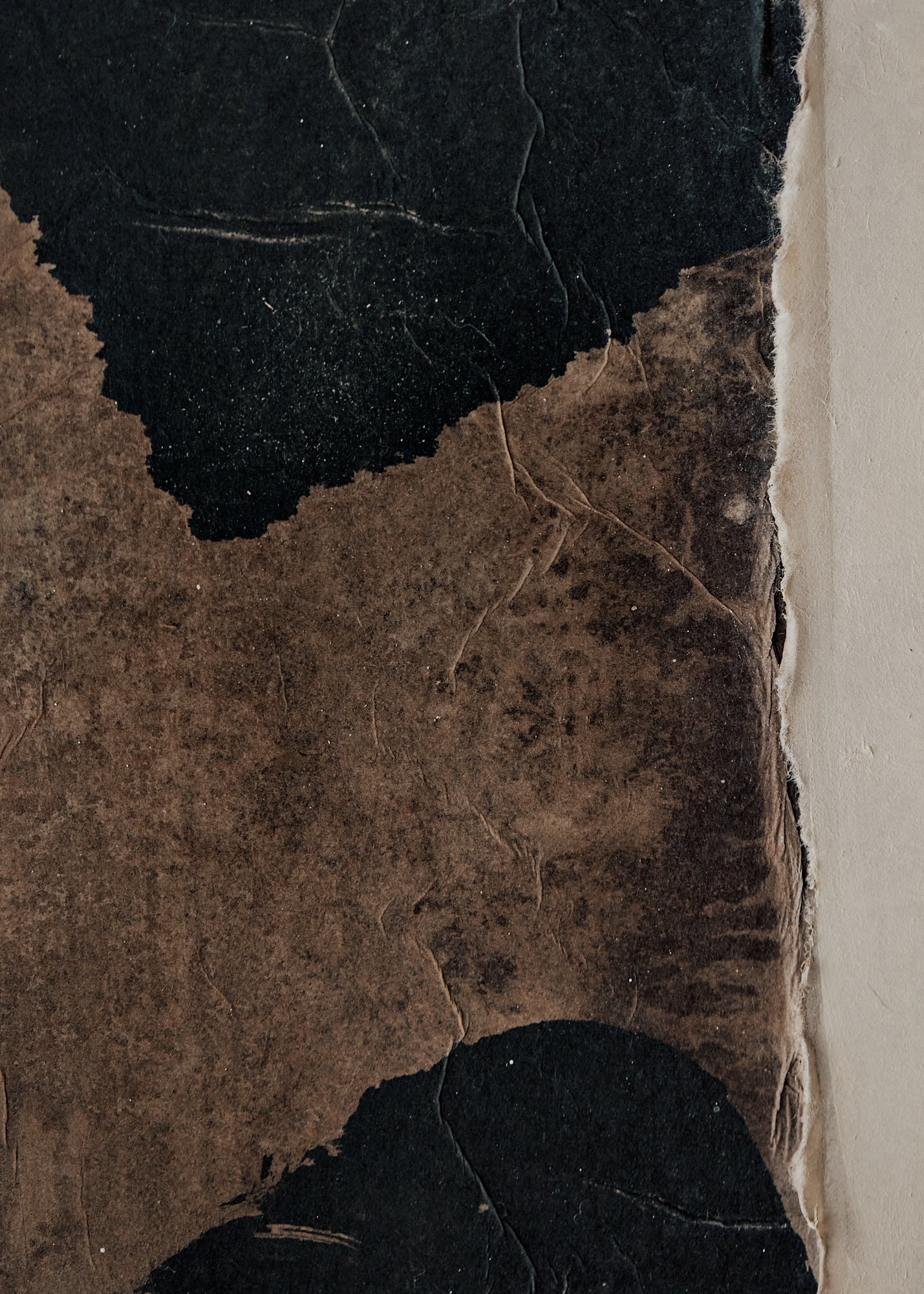 Alexandra Yan Wong | Untitled (Brown & White Collage)